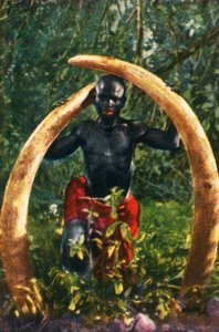 Slagtanden van een Afrikaanse olifant, ca. 1928