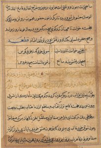 Tuti-Nama Verhalen van een Papegaai, ca. 1560 door Unbekannt