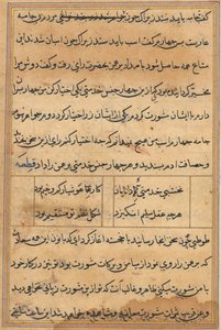 Tuti-Nama Verhalen van een papegaai, ca. 1560 door Unbekannt