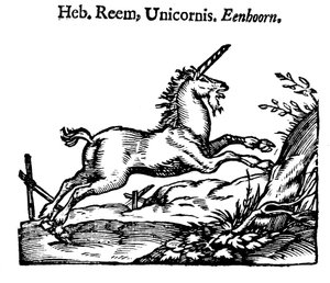 Eenhoorn, 1644