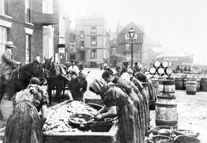 Verenigd Koninkrijk: Schotse haringgutters aan het werk in Scarborough, ca. 1890
