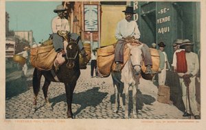 Groentemannen, Havana, Cuba, 1904