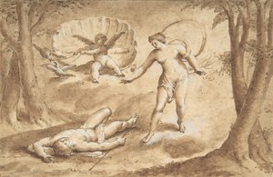 Venus ontdekt de dood van Adonis door Unbekannt