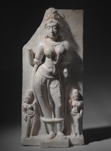 Vidyadevi godin van de kennis