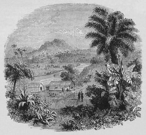 Uitzicht in Cayenne, ca. 1880 door Unbekannt