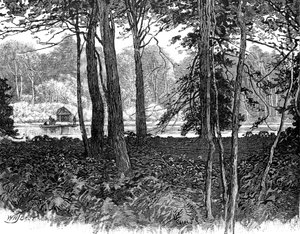 Uitzicht in Claremont Park, Surrey, 1900