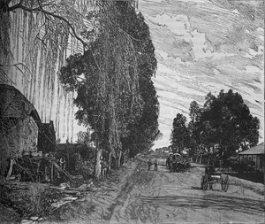 Uitzicht nabij Pretoria, ca. 1880