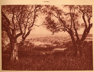 Uitzicht door de olijfbomen naar Antibes