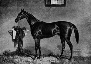 Voltigeur, 1847-1874, 1911 door Unbekannt