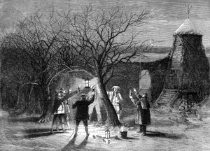 Wassailing appelbomen met hete cider in Devonshire op twaalfde avond, 1861