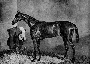 Wild Dayrell, 1852-1870, 1911 door Unbekannt