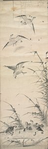 Wilde Ganzen en Riet, 1392-1910
