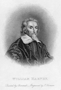 William Harvey 1578-1657 Engelse arts, 17e eeuw door Unbekannt