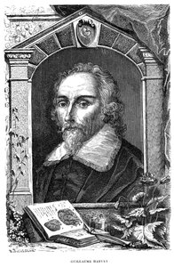 William Harvey 1578-1657 Engelse arts, c17e eeuw door Unbekannt