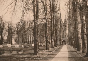 Winchester Cathedral en Avenue, Hampshire, begin 20e eeuw door Unbekannt