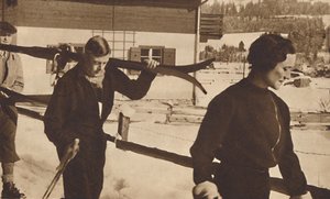 Wintersport, Oostenrijk door Unbekannt