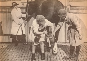 Vrouwen als hoefsmeden in het paardenhospitaal van een groot transportbedrijf, ca. 1916, 1935 door Unbekannt