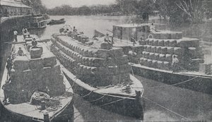 Wol Barges op de Murray River door Unbekannt