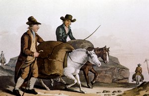 Wolhandelaar die 