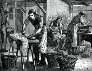 Wol sorteerders, c1880 door Unbekannt