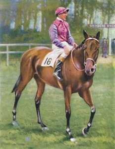 Zoltan, Jockey: M. Beary, 1939 door Unbekannt