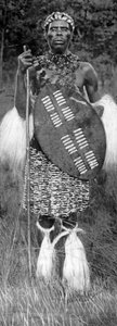 Zulu-hoofdman, 1926
