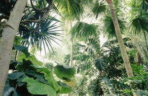Interieur van Palm House