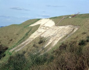Het Westbury White Horse door Unbekannt Unbekannt