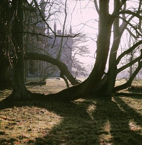 Uitzicht op de Noordelijke Voorgevel, Corsham Court, Wiltshire