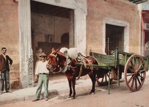 Een Muilezelkar in Havana geleid door een verkoper door Unbekannt