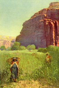 Een Supai maïsveld - Cataract Canyon door Unbekannter Künstler