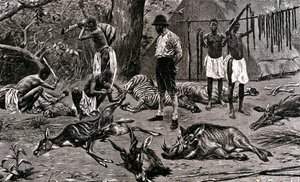 Een geweldige jachtdag! 1900 door Unbekannter Künstler