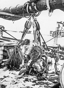 Admiraal Robert Edwin Peary (1856-1920) Amerikaanse ontdekkingsreiziger van het Noordpoolgebied hier op de "Roosevelt" 1909 door Unbekannter Künstler