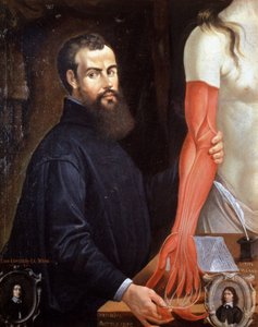 Andre Vesale (1514-1564) Vlaamse arts, vader van de moderne anatomie door Unbekannter Künstler