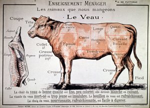 Dieren die we eten: het kalf, ca. 1910 (prent)
