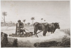 Akkerbouw, Oogsten Dorsmachine, Egypte, ca. 1798