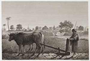 Akkerbouw, Ploegen Ploegen met ossen, Egypte, ca. 1798 door Unbekannt