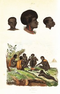 Australische Aboriginals en hoofden van inboorlingen van Waigeo, West-Papoea door Unbekannter Künstler