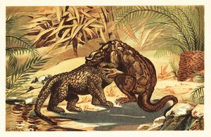 Gevecht tussen een Megalosaurus bucklandii en Iguanodon bernissar door Unbekannter Künstler