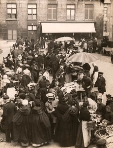 Belgische vismarkt