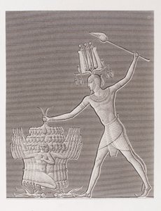 Boek: Beschrijving van Egypte door Unbekannt