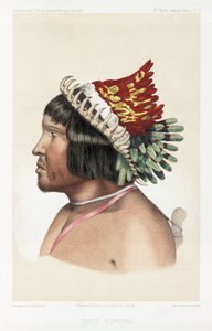 Bororo-hoofdman, Zuid-Amerika, ca. 1843-1847 door Unbekannt