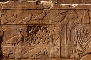 Botanische tuin van Thutmosis III met reliëfafbeeldingen van planten en dieren, Karnaktempel, Luxor, Thebe, Egypte, Afrika
