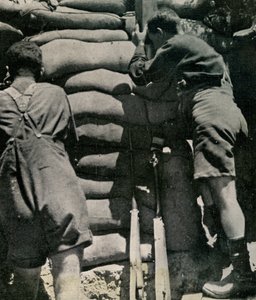 Britse troepen vechtend in kaki-drill shorts, Gallipoli-schiereiland