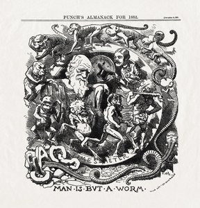 Cartoon over de evolutietheorie van Charles Darwin: "Man is but a worm" uit "Punch", 06/12/1881 door Unbekannter Künstler