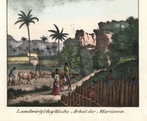 Chamarro boeren ploegen een veld en snijden rijen plantages in de Marianenarchipel (VS). Illustratie uit Voyage Around the World (1824) door Louis de Freycinet (1779-1842). Lithografie voor het boek: “Galerie complete en tableaux fideles des peuples d