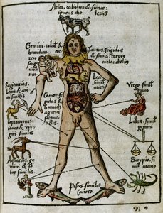 Kosmografie 16e eeuw: de zodiakale man