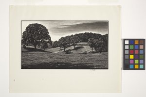 Landschap