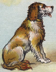 Hond door Unbekannt