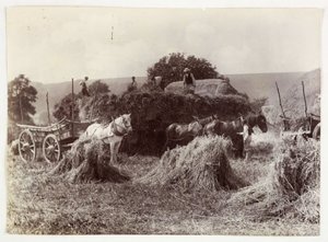 Landbouwscènes, Oogsten & Opslag, Pre-1900 Oogst, ca. 1890